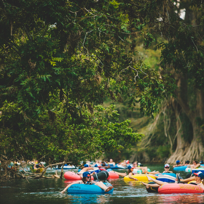 Beautiful trees on the Central Texas rivers